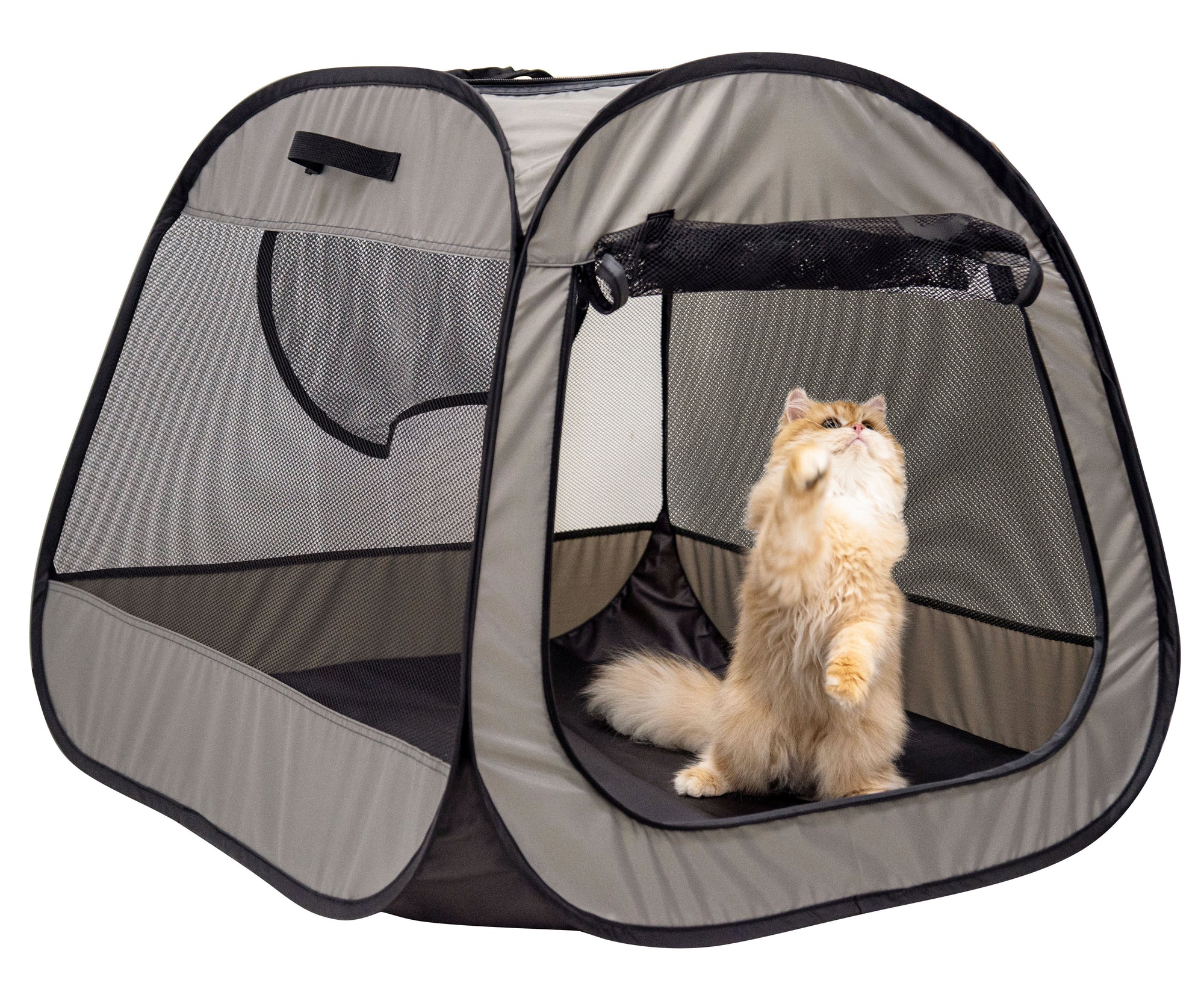 Basic Pet Play Tent. image 5